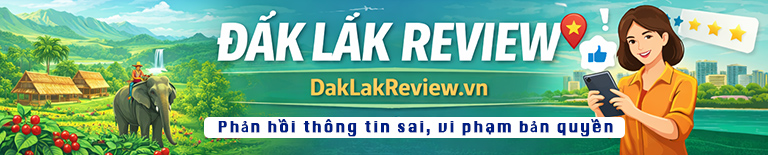 Gửi báo cáo phản hồi