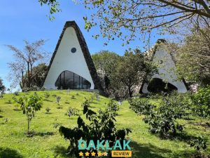 The Coffee City - Healing & Retreats còn được biết đến với tên gọi Thành phố Cà Phê.