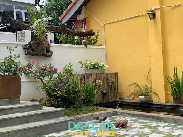 Alero Homestay mang phong cách thiết kế độc đáo, lấy gỗ làm điểm nhấn cho sự thanh lịch và ấm áp.