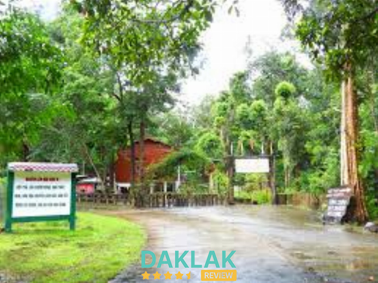 Ngày thứ ba – bước vào rừng Yok Đôn