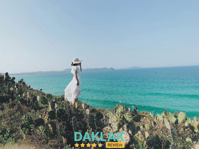 Biển Tuy Hòa – Sự Kết Hợp Hoàn Hảo Giữa Biển Và Núi