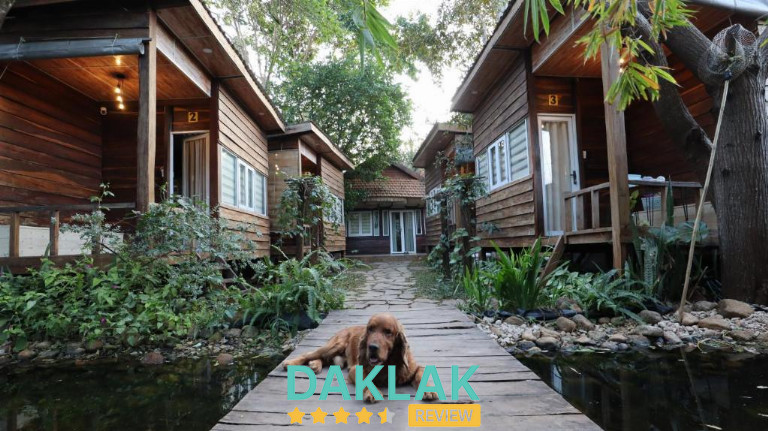 Trải nghiệm lưu trú – The 47 House và cảm giác “nhà”